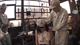 【超解像4K画質】町工場で働く美娘が上司から受けたセクハラ指導!全裸にされ激バイブ攻め&作業員たちからもザーメン塗れに!