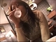 I Want to... Have Sex... - A Date with a Busty Beauty - (H:G:M:O-3566) sample image 4